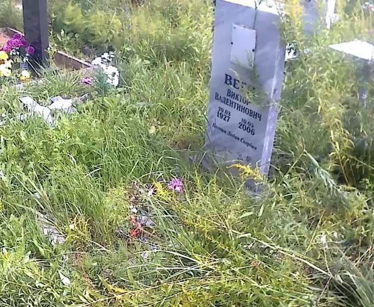 Веги Виктор Валентинович