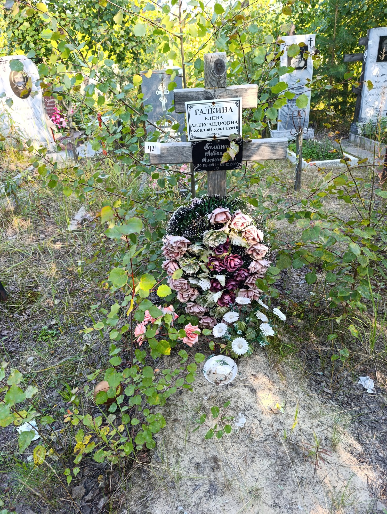 Галкина Елена Александровна