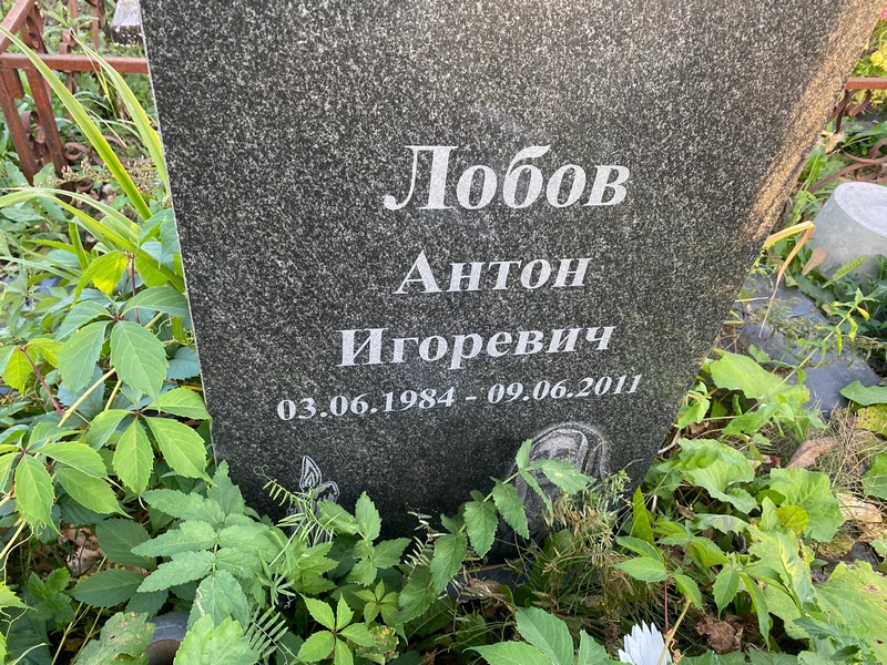 Лобов