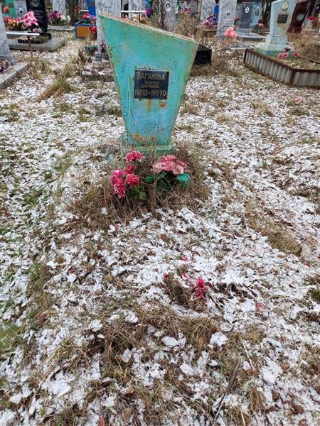 Ваганова Надежда Дмитриевна