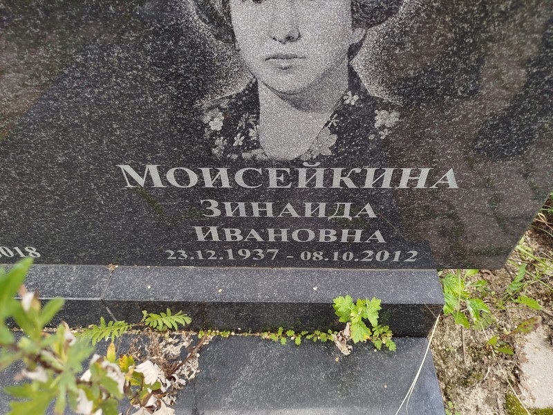 Моисейкина