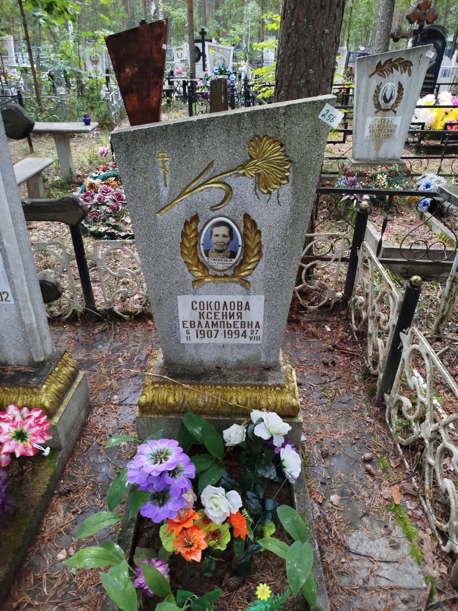 Соколова Ксения Евлампьевна