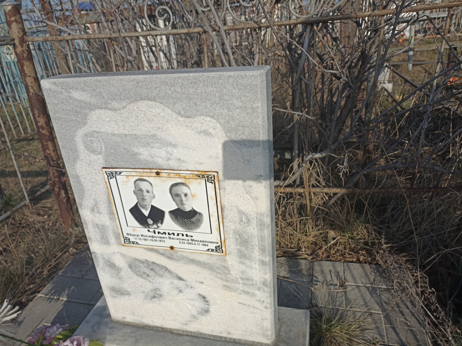 Чмиль Василиса Михайловна