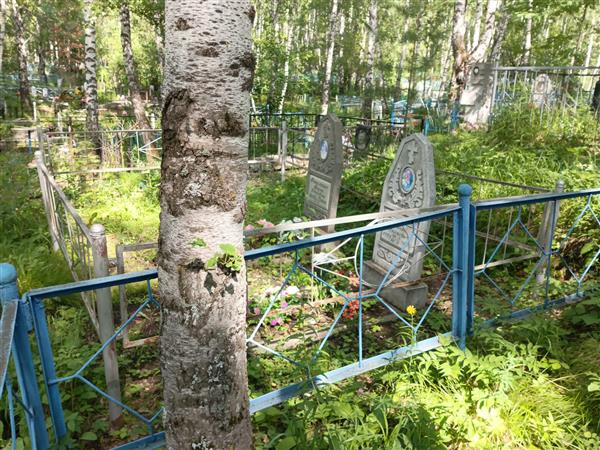 Мажайский Николай Николаевич