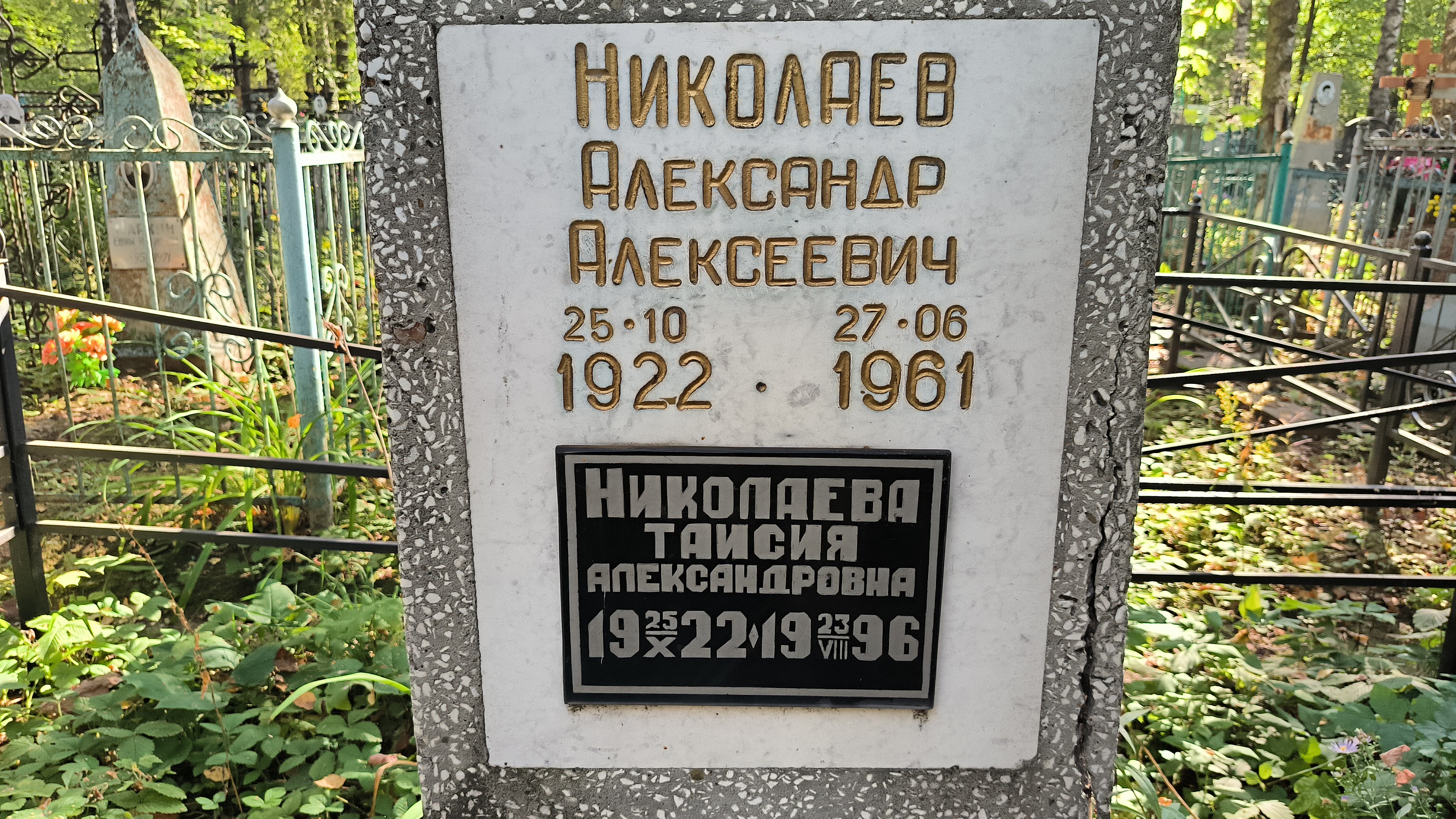Николаев Александр Алексеевич