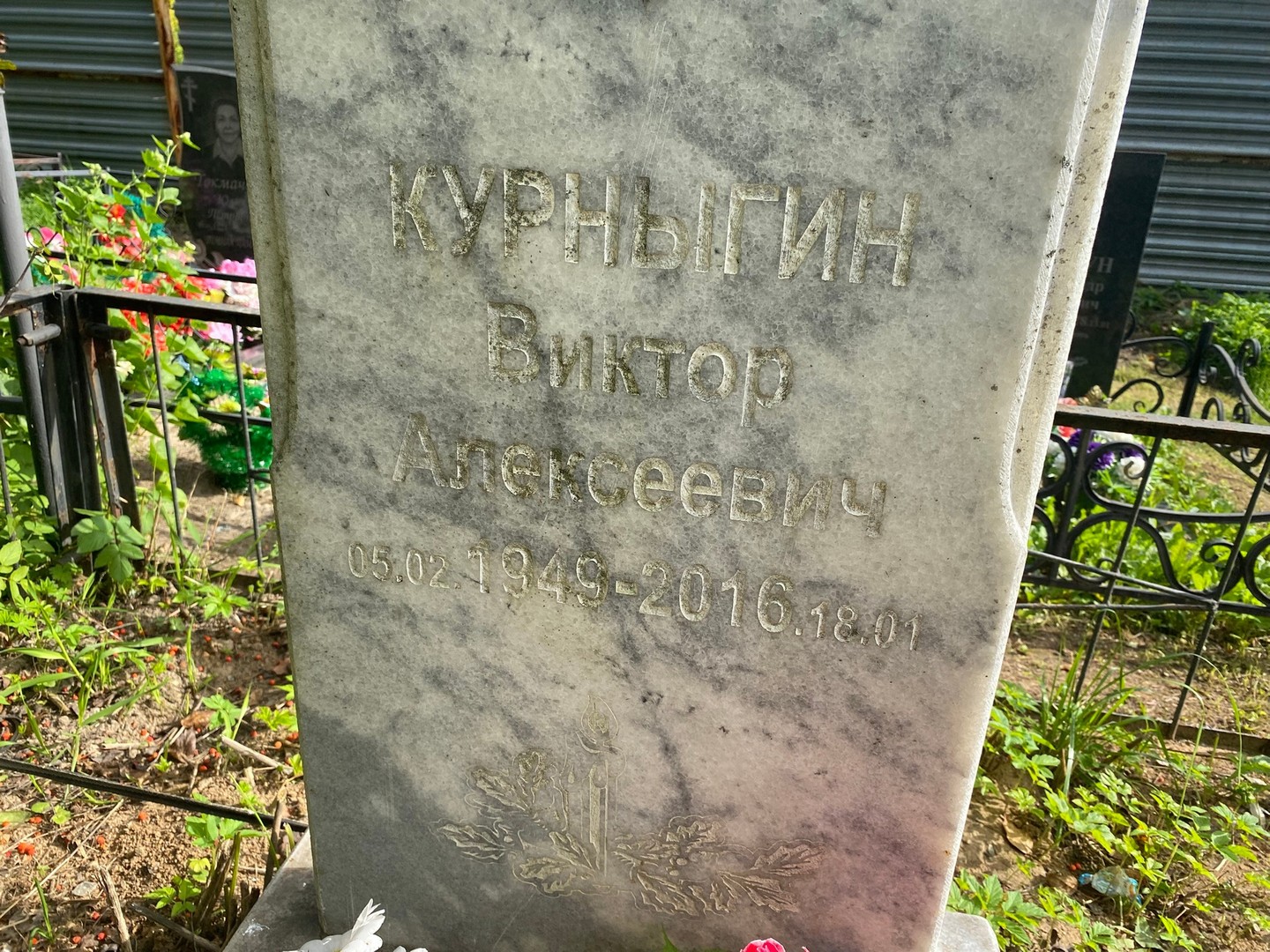 Курныгин