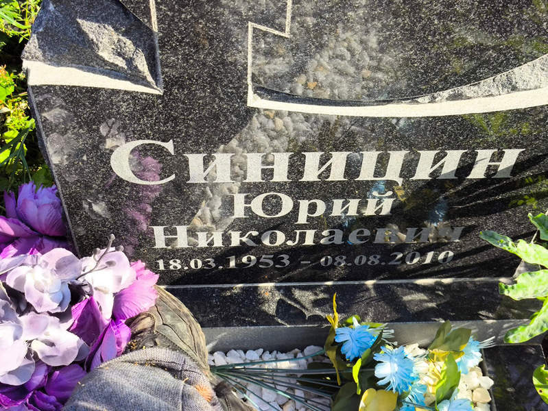 Синицин
