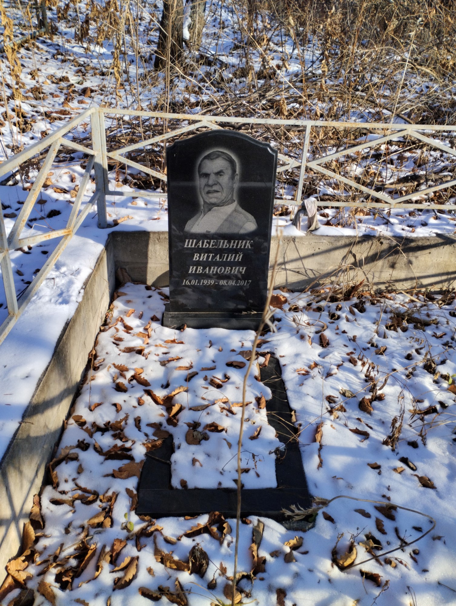 Шабельник Виталий Иванович
