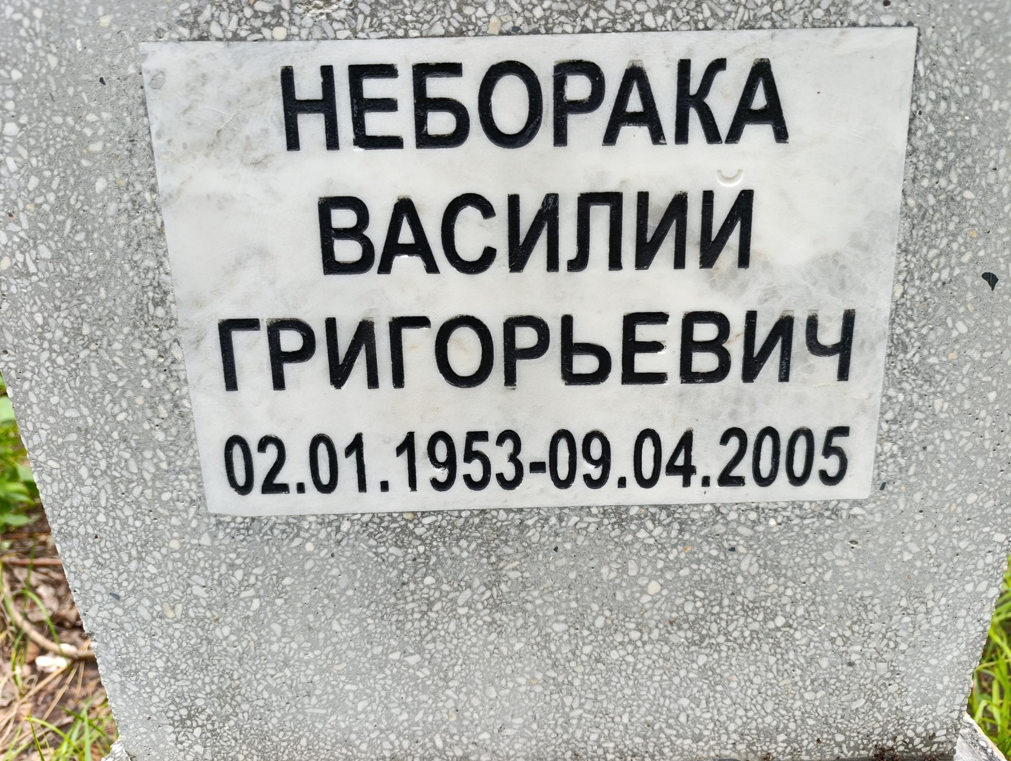 Неборака Василий Григорьевич