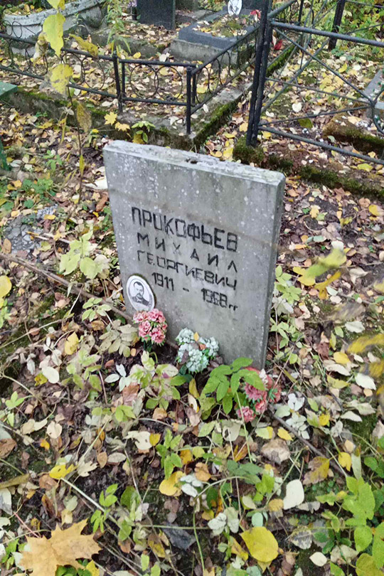 Прокофьев Михаил Георгиевич