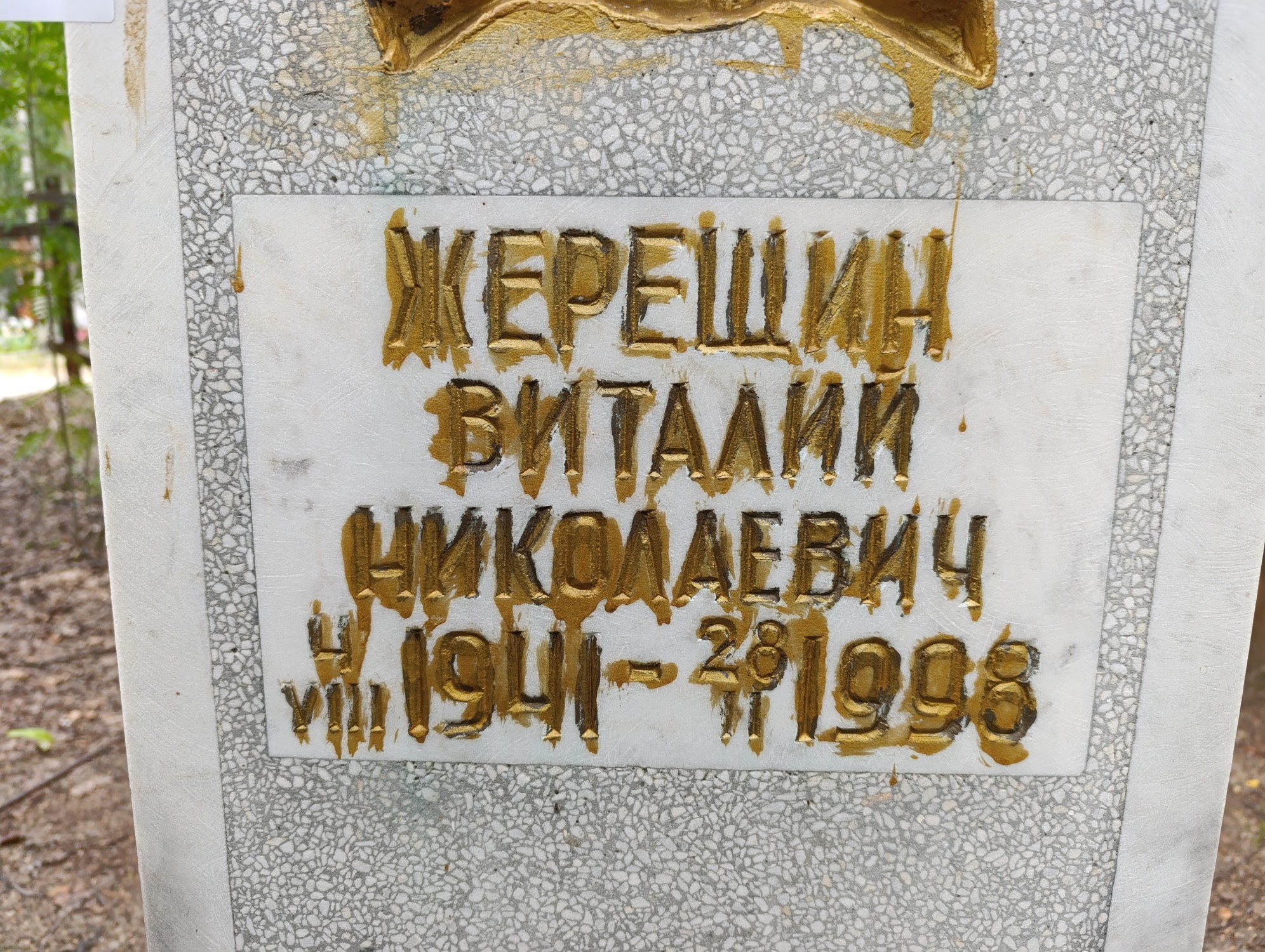 Жерещин Виталий Николаевич