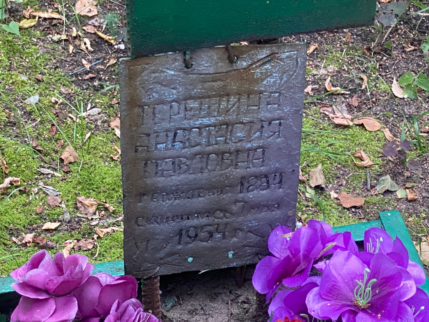Терешина Анастасия Павловна