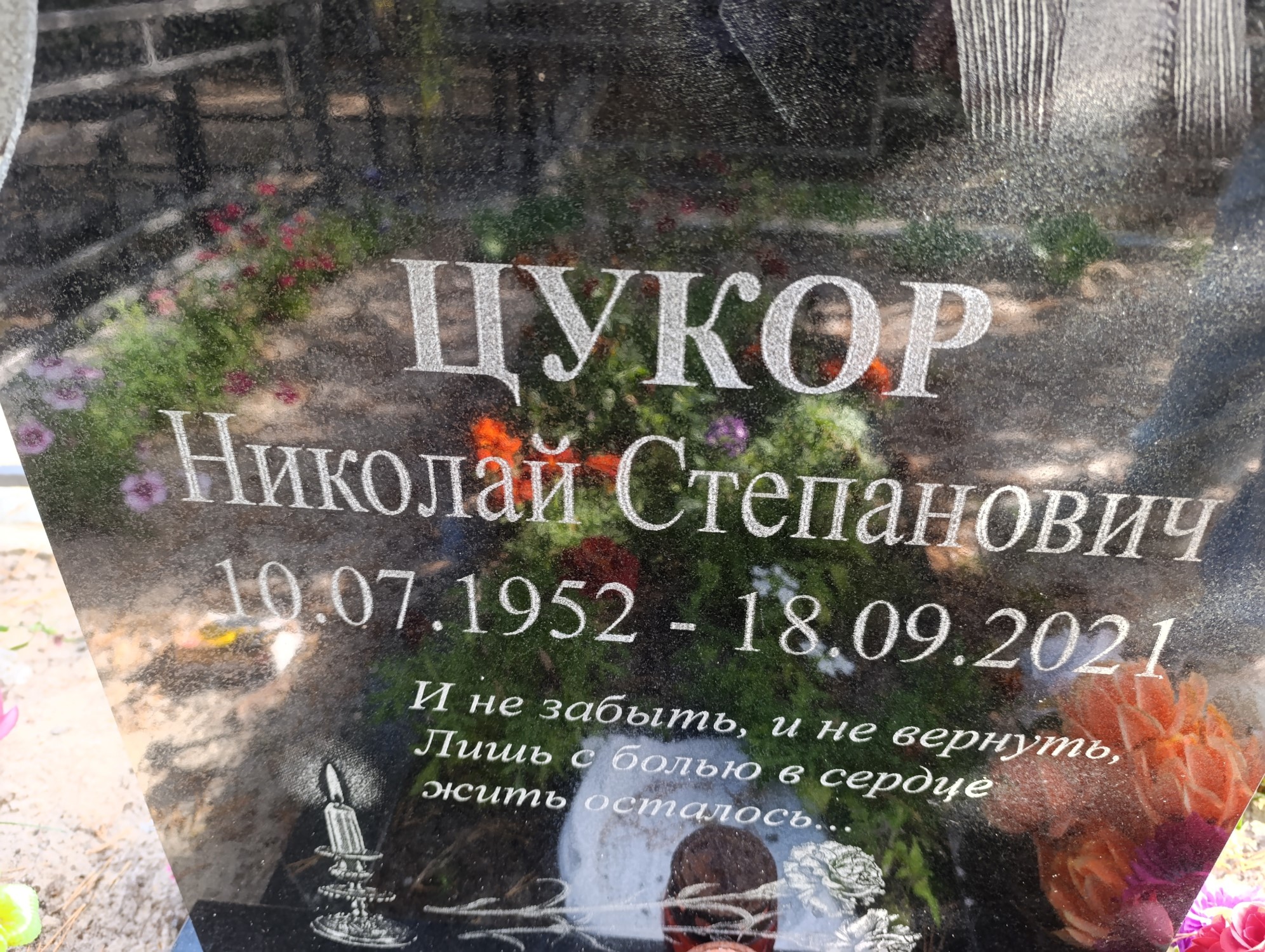 Цукор Николай Степанович