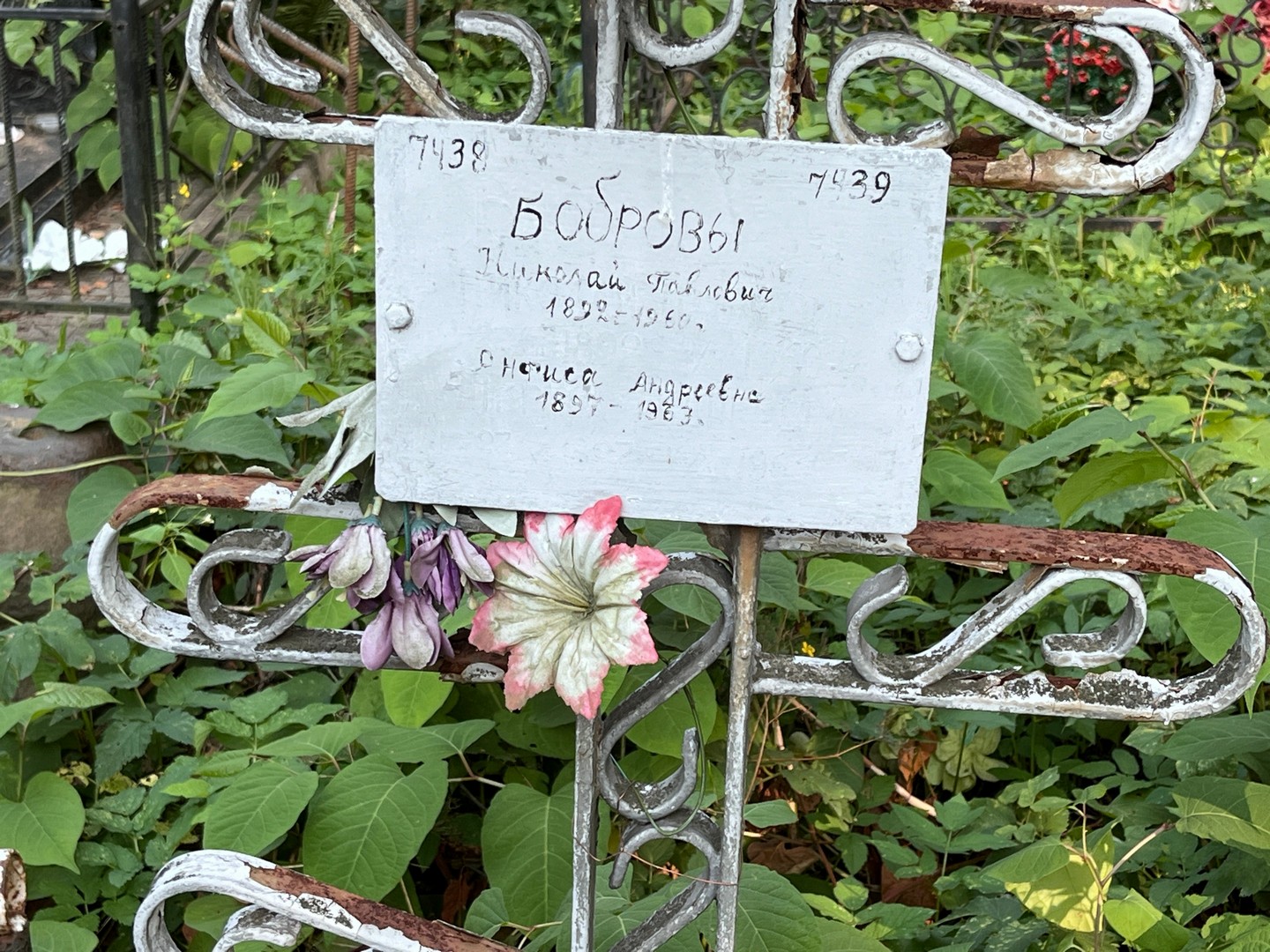 Бобров