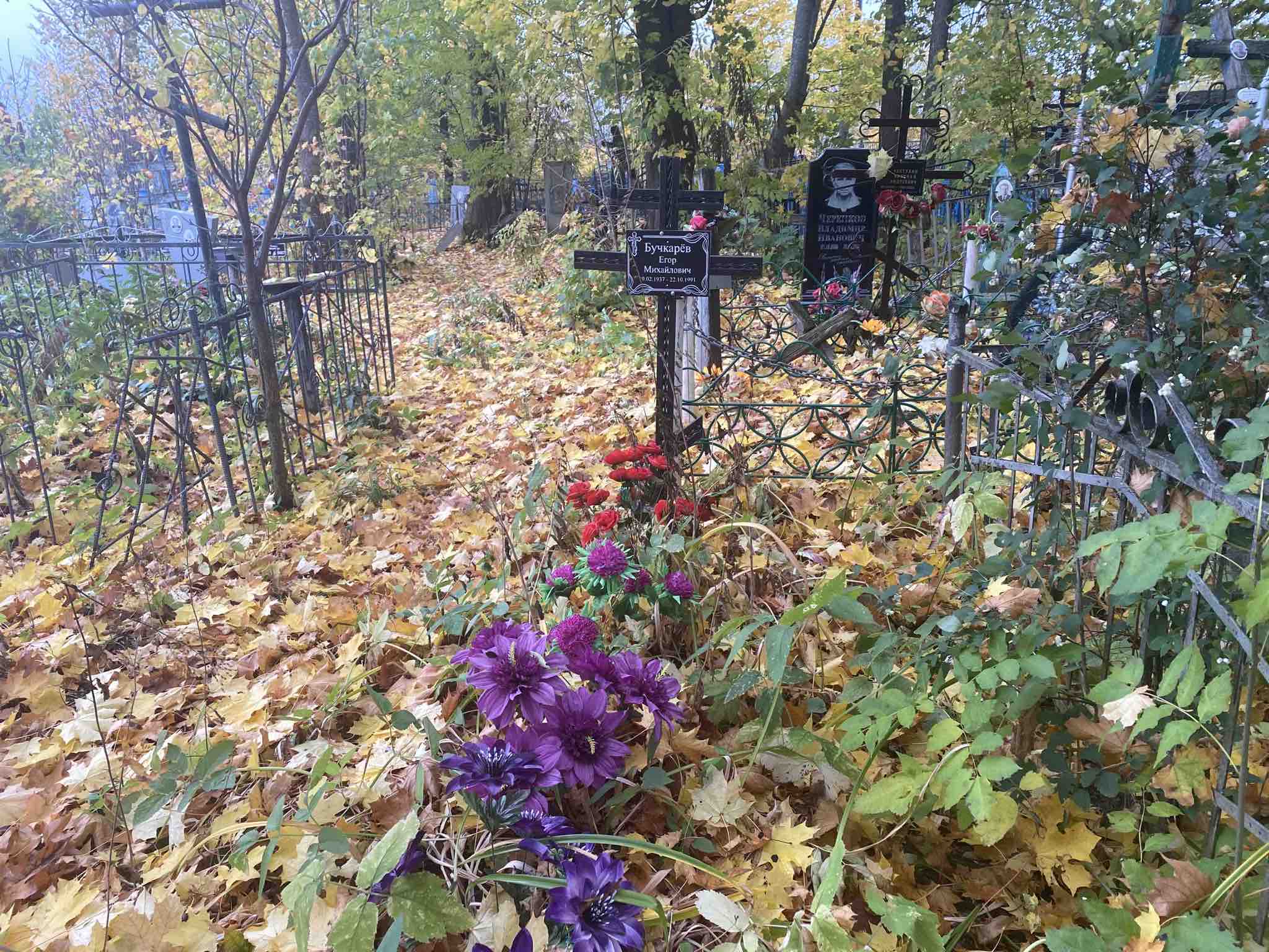 Бучкарёв Егор Михайлович