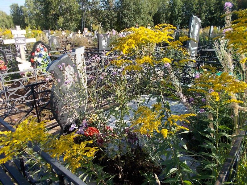 Безикова Ольга Васильевна