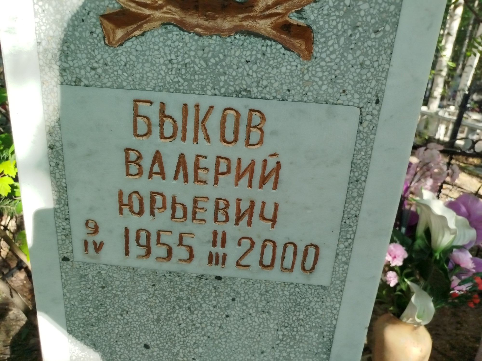 Быков Валерий Юрьевич