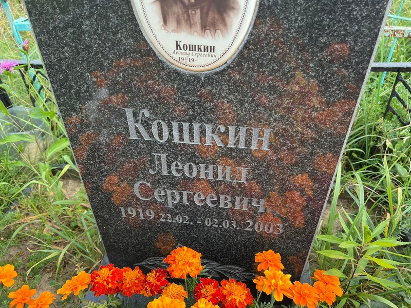 Кошкин