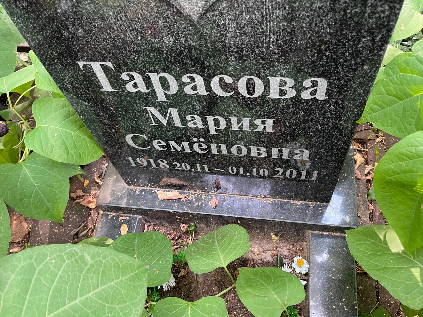 Тарасова