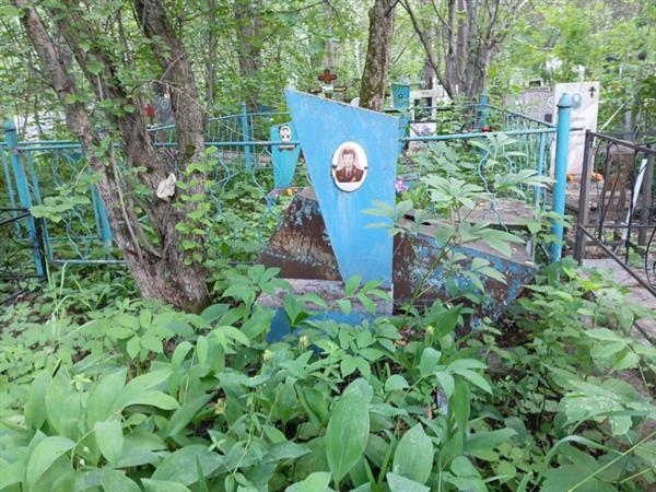 Савва Владимир Георгиевич