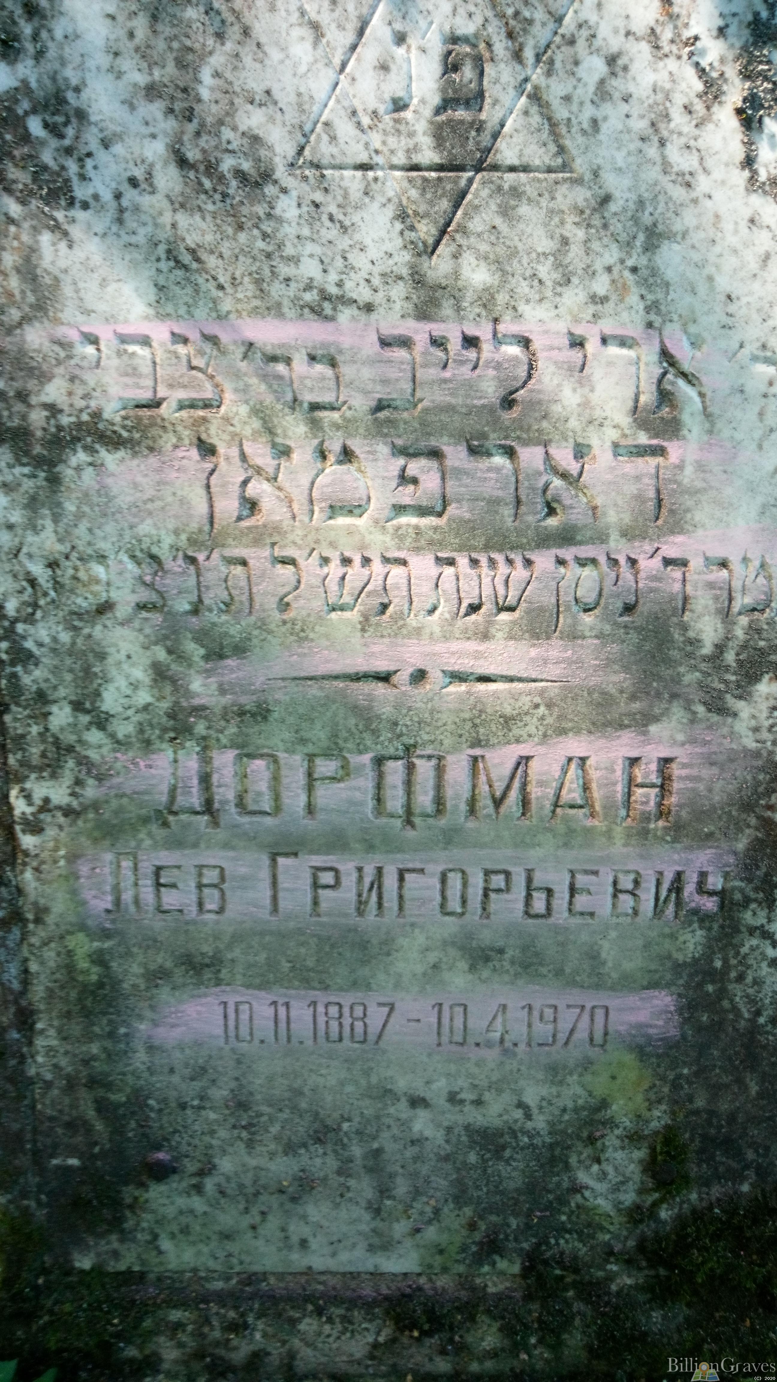 דארפמאן ארי לייב