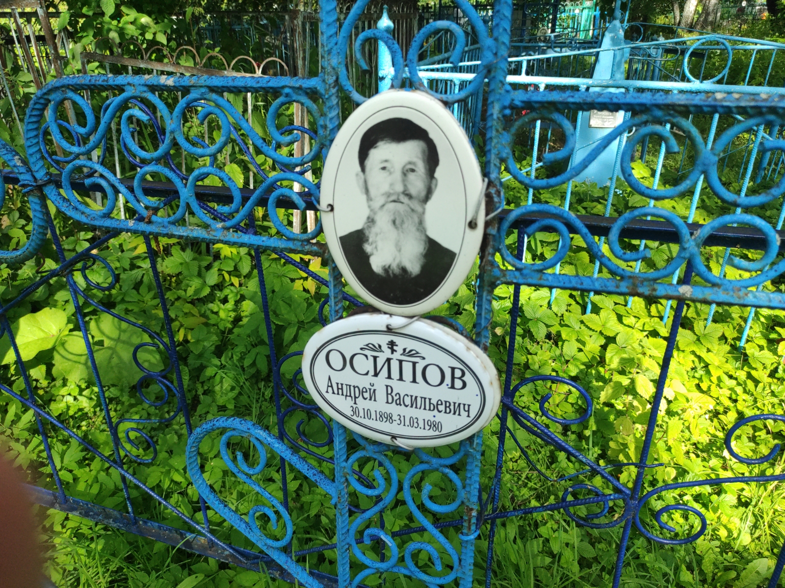 Осипов Андрей Васильевич