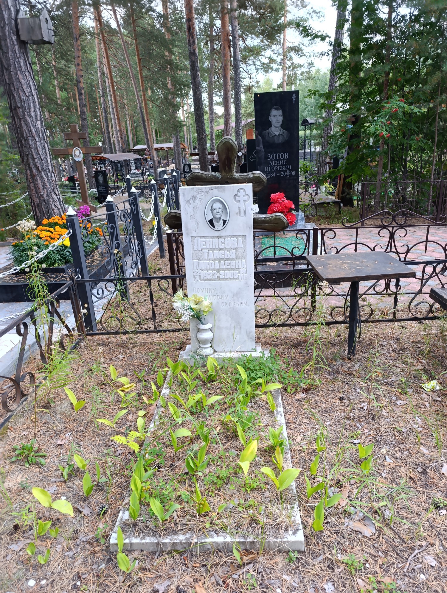 Денисова Таисья Николаевна