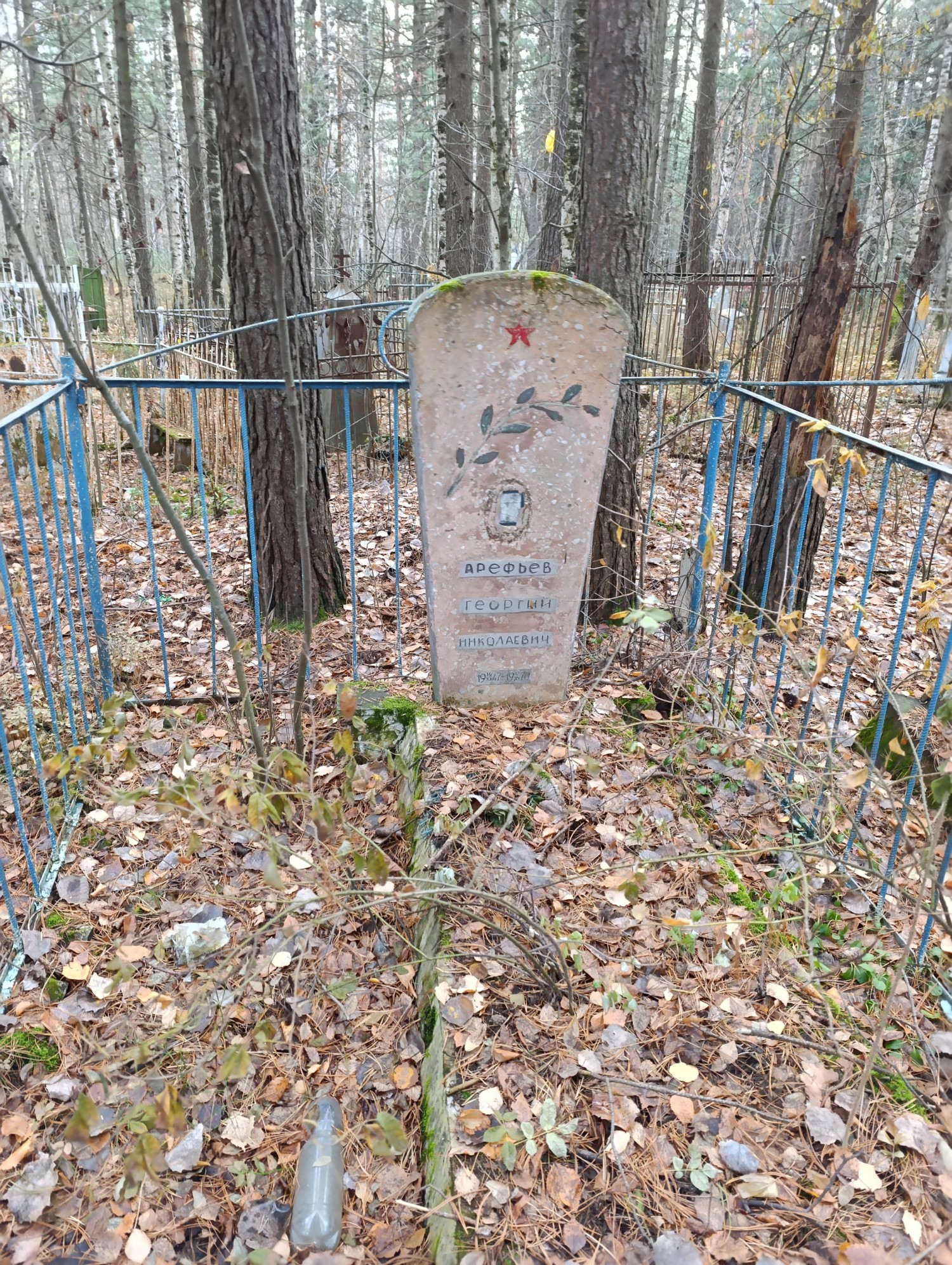 Арефьев Георгий Николаевич