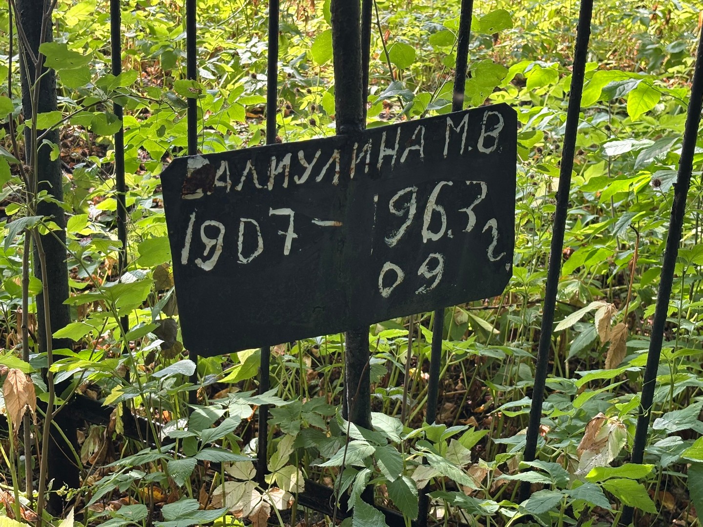 М Салиулина В