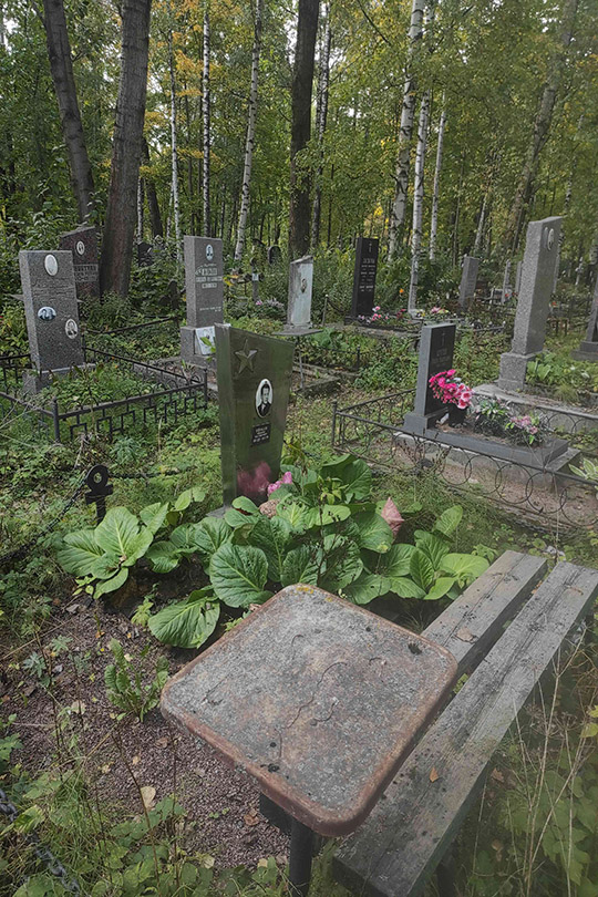 Воробьев Владимир Александрович