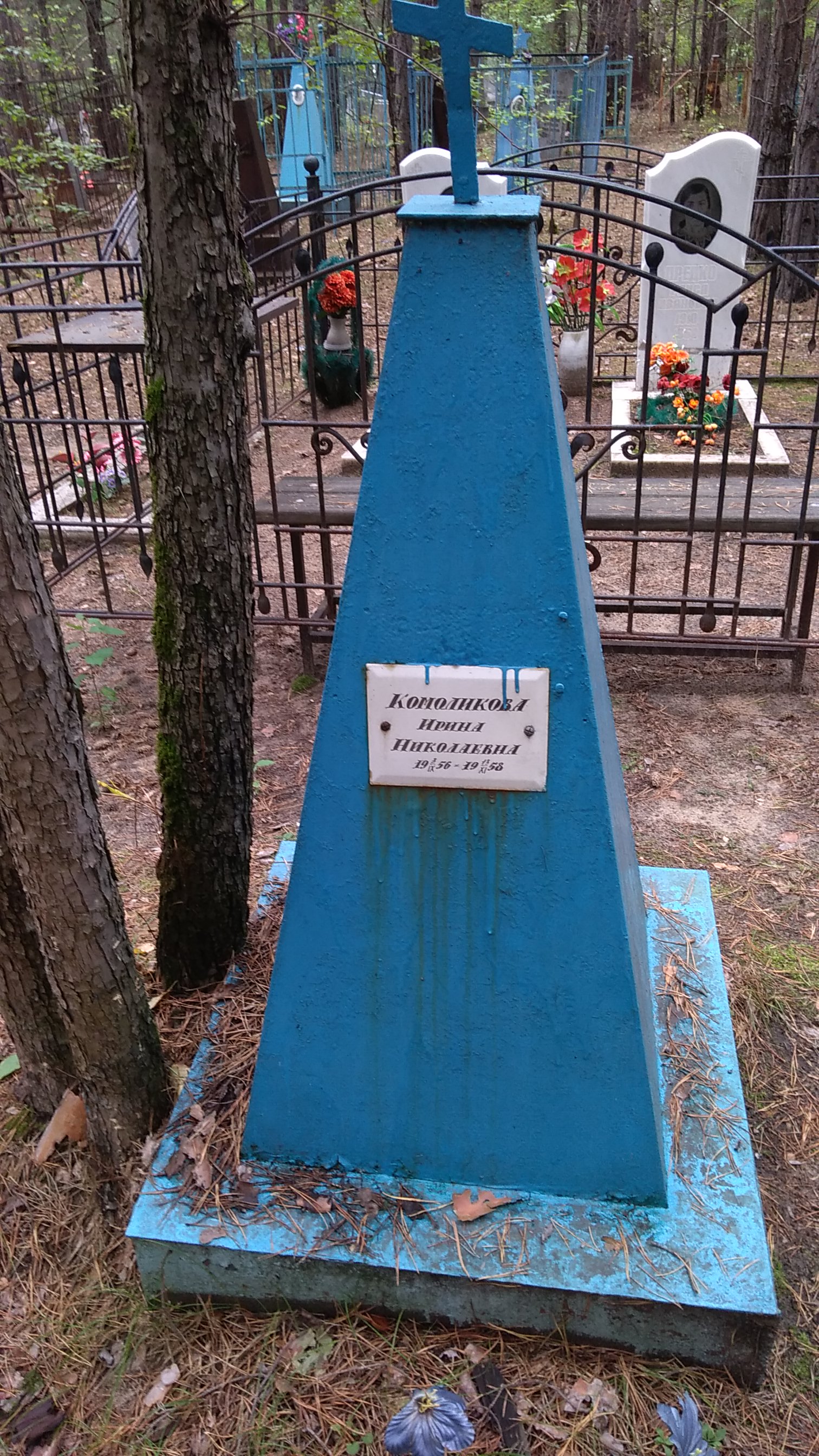Комоликова Ирина Николаевна