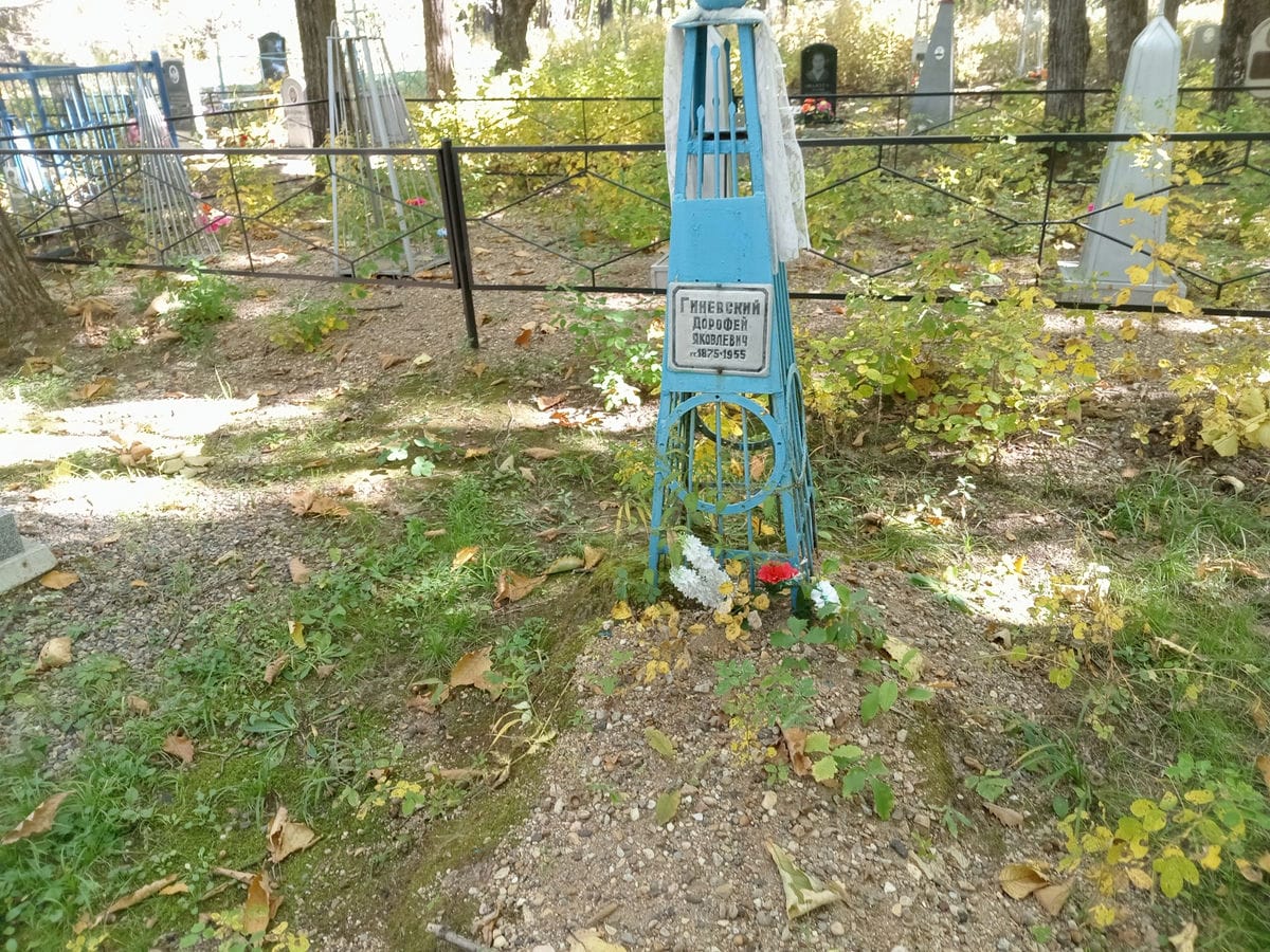 Гиневский Дорофей Яковлевич