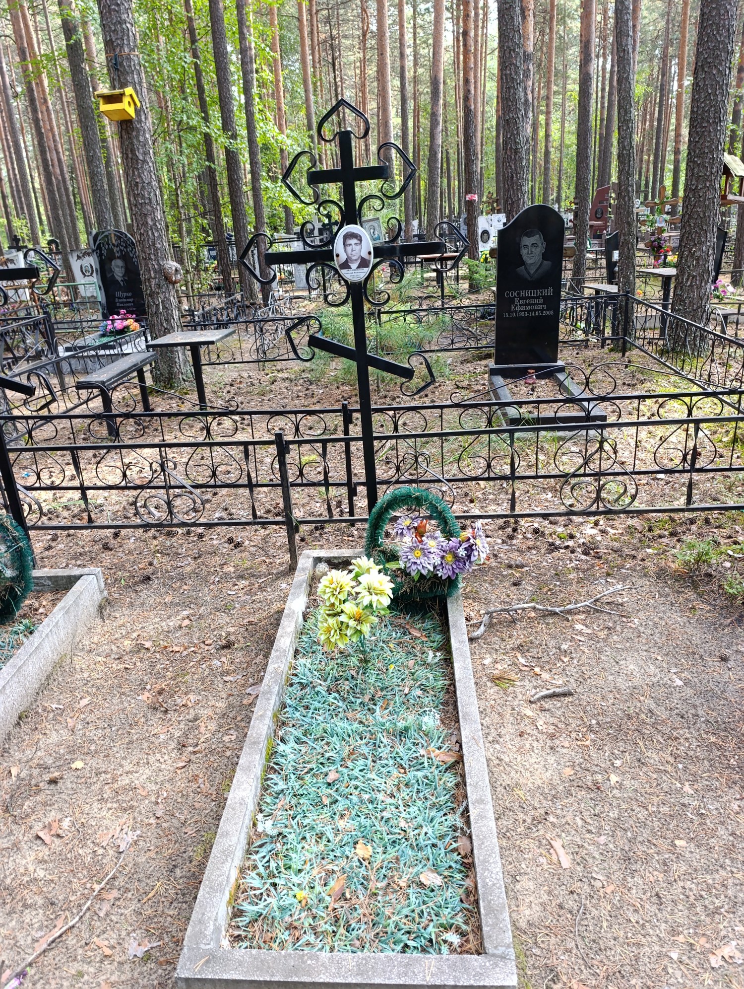 Авдюшенко Николай Романович