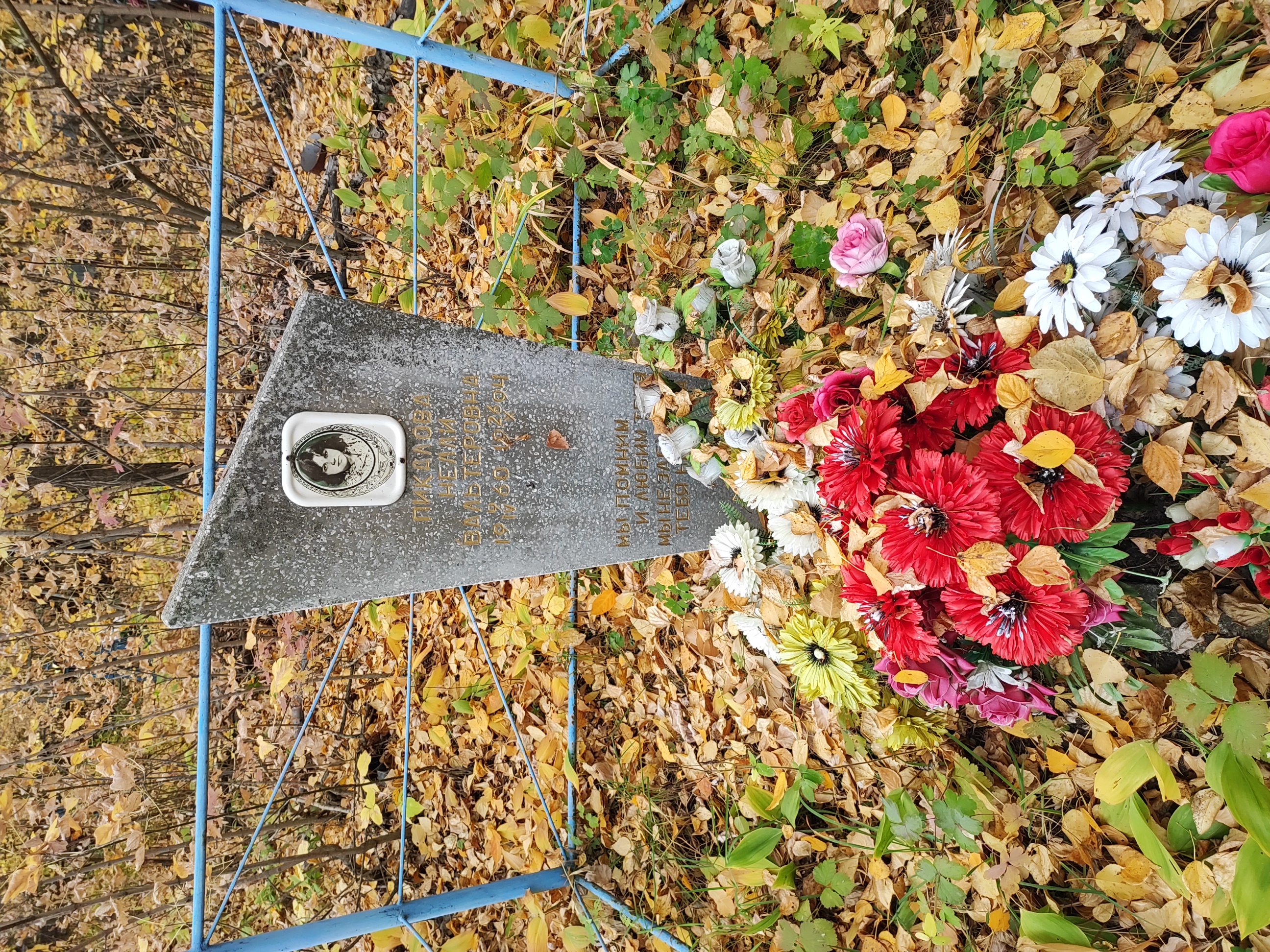 Пикалова Нелли Вальтеровна