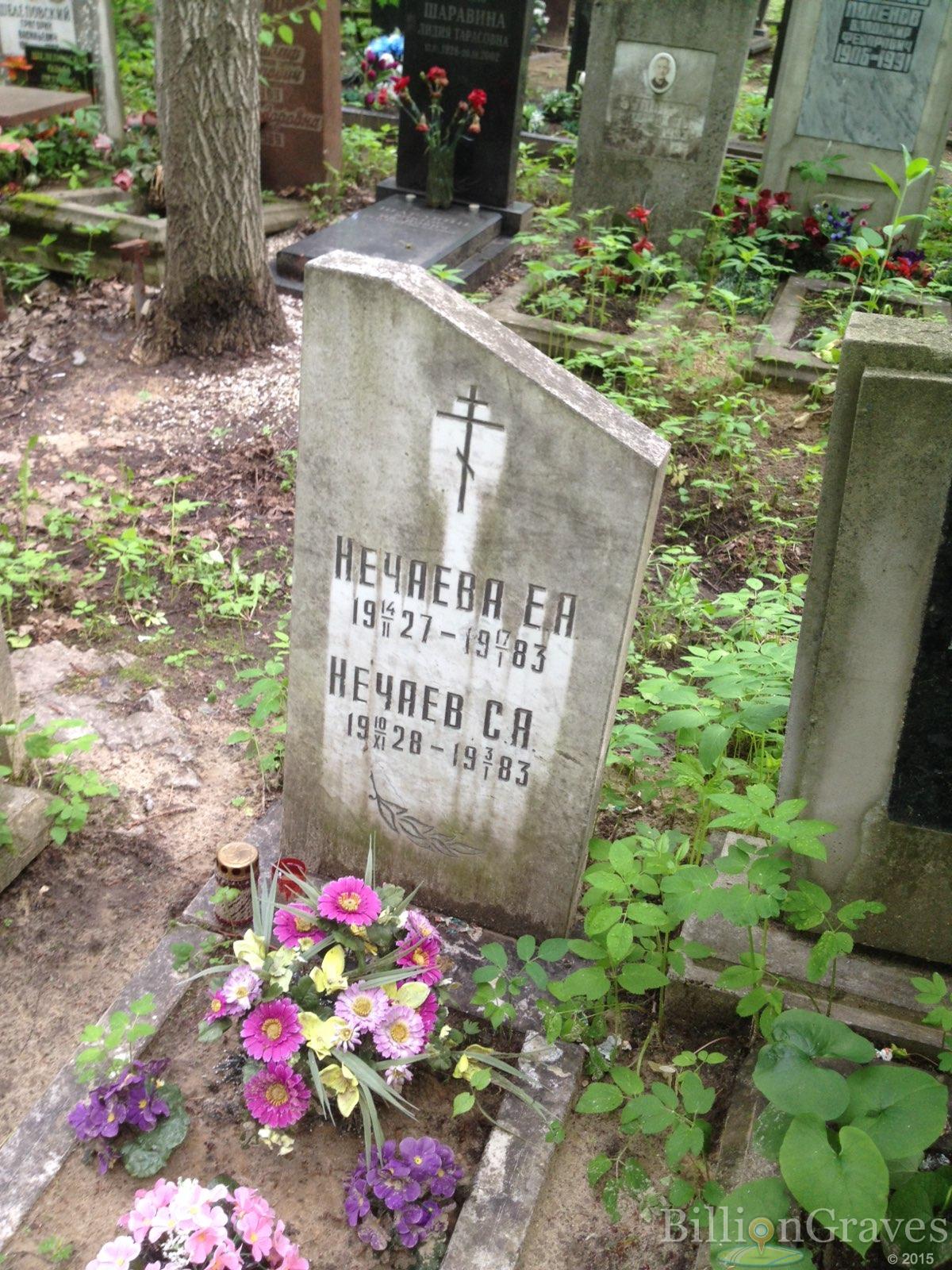 Нечаева Е.А.