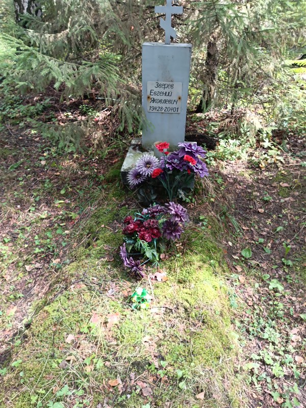 Зверев Евгений Яковлевич