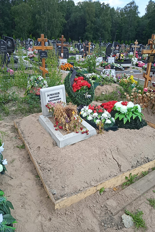 Алексеев Николай Васильевич