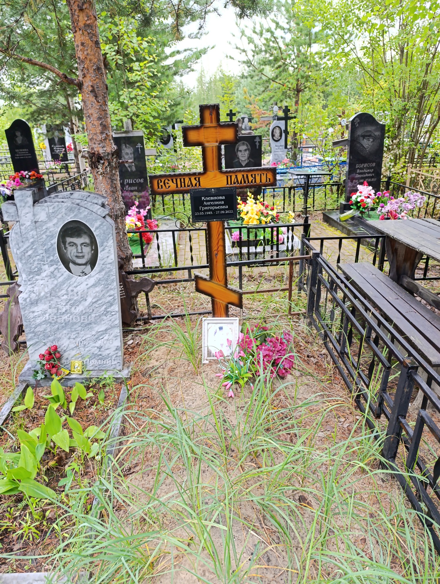 Клевнова Ангелина Григорьевна