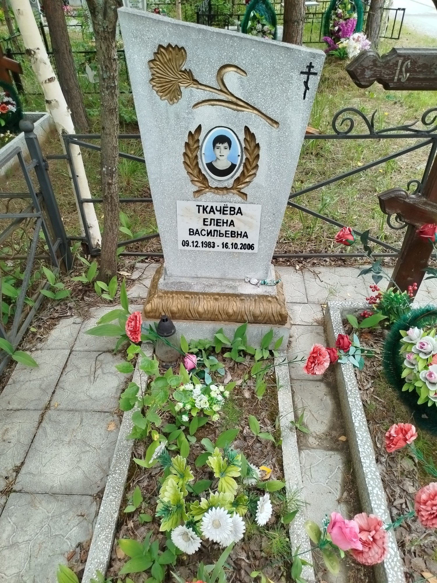 Ткачёва Елена Васильевна