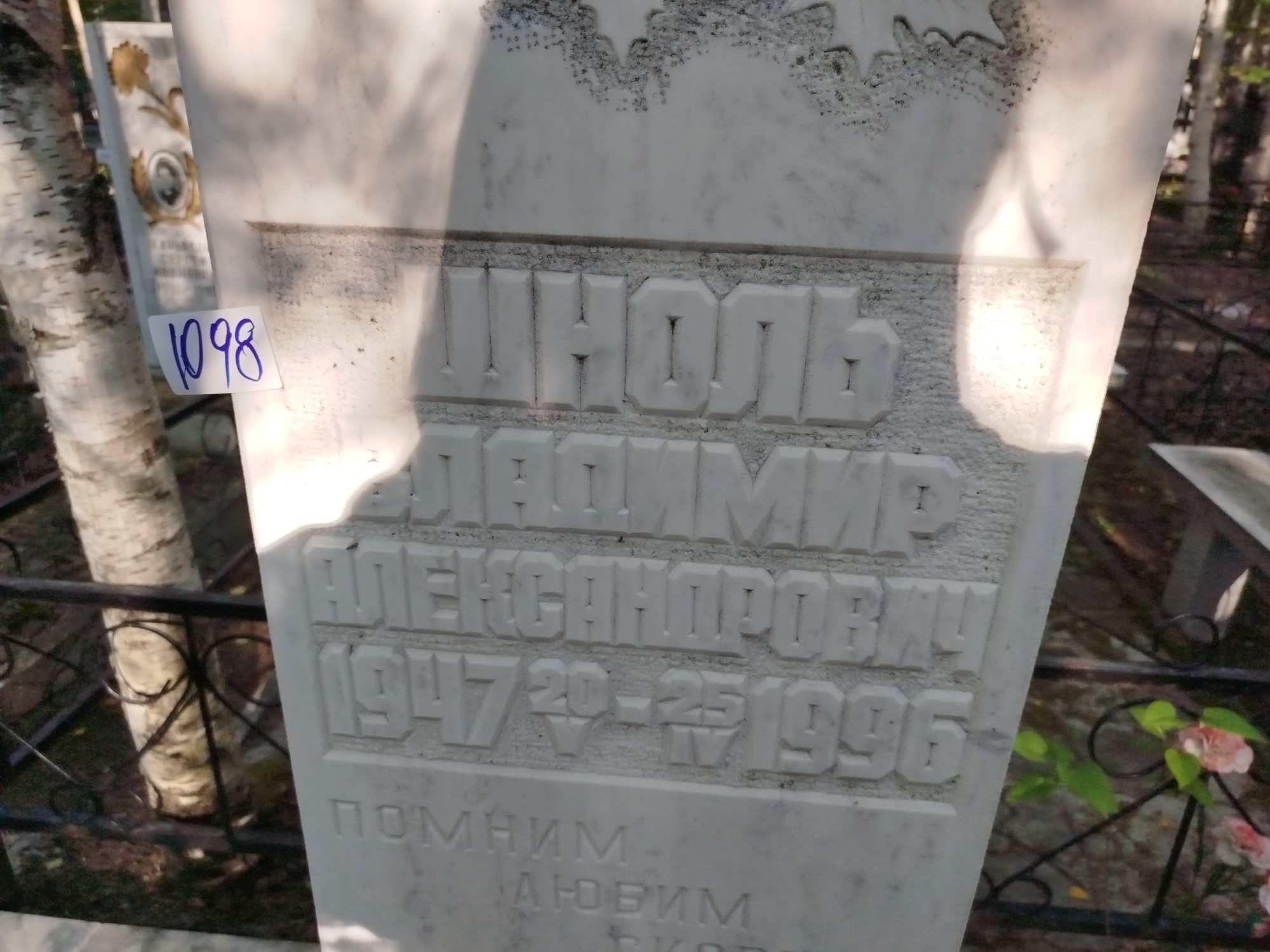 Шноль Владимир Александрович