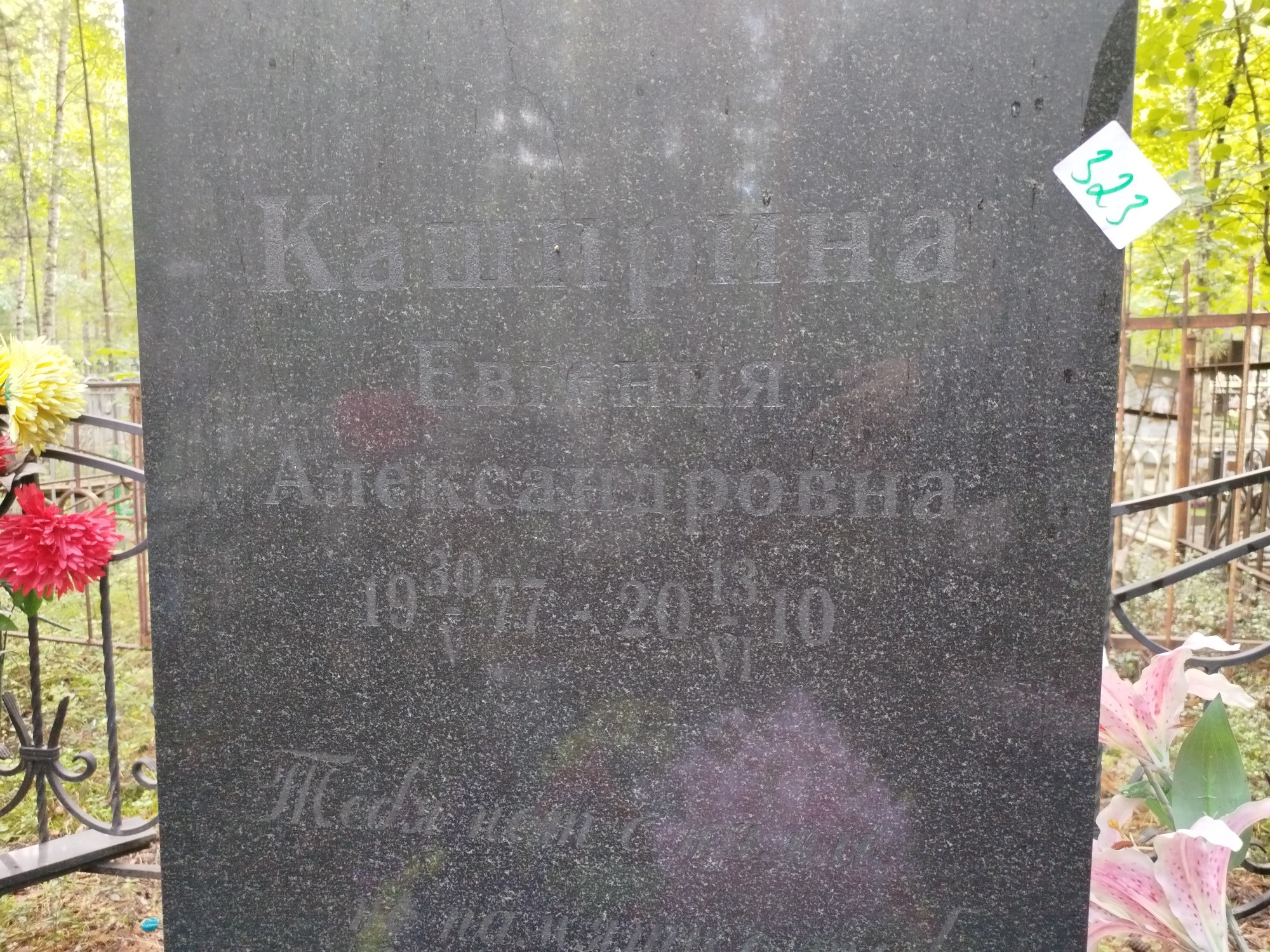 Каширина Евгения Александровна