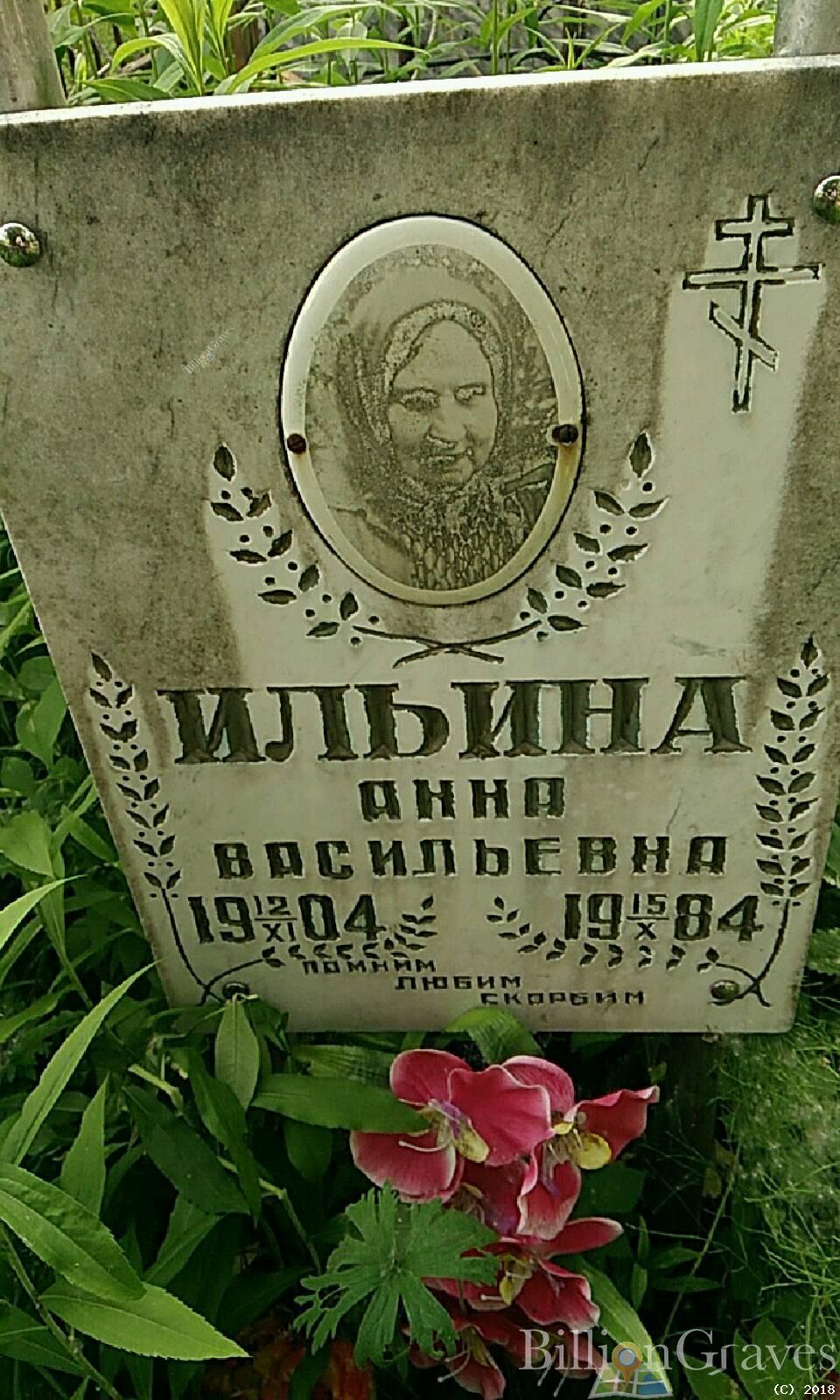 ильина анна васильевна