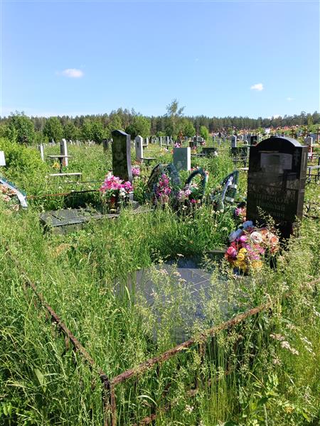 Шведов Николай Юрьевич