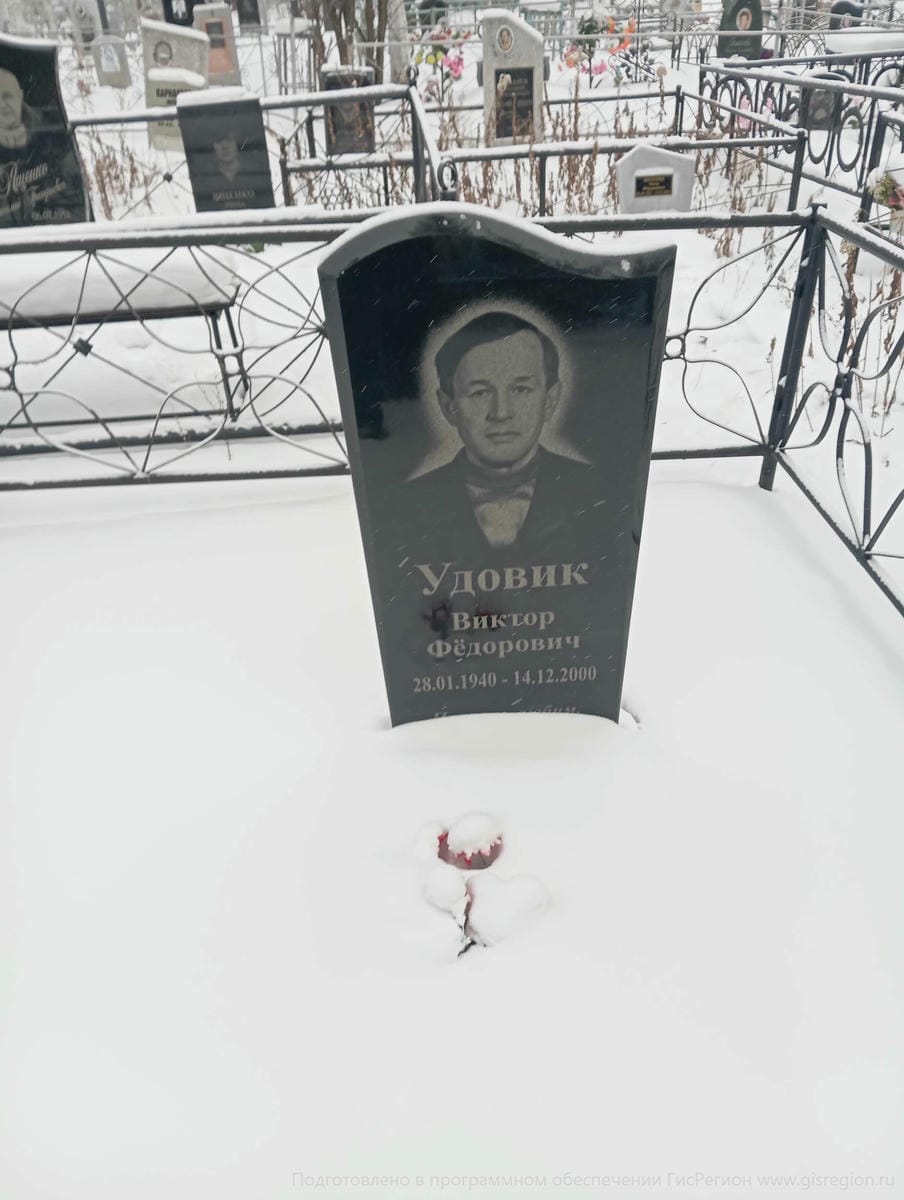 Удовик Виктор Фёдорович