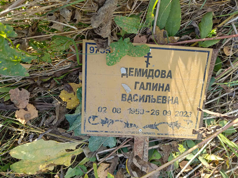 Демидова