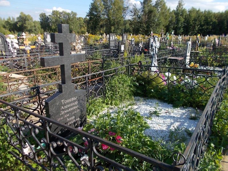 Тонев Александр Демьянович