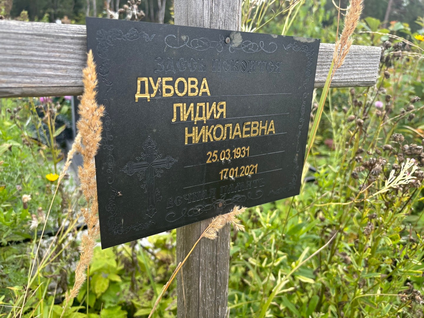 Дубова