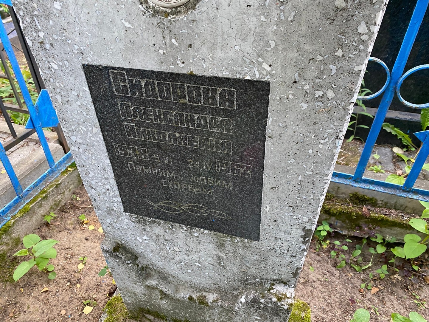Сидорова Александра Николаевна
