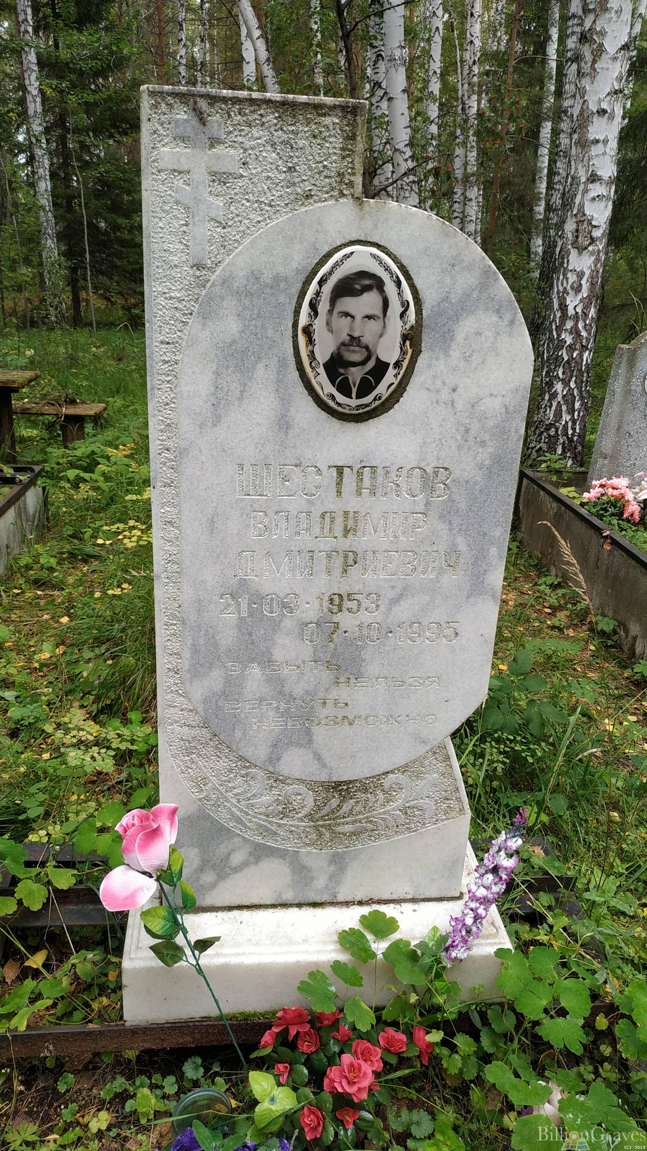 Шестаков Владимир Дмитриевич
