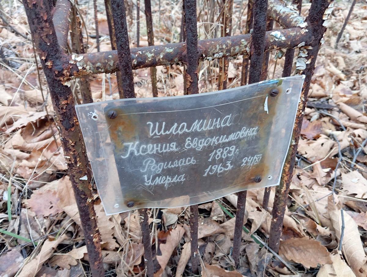 Шломина Ксения Евдокимовна